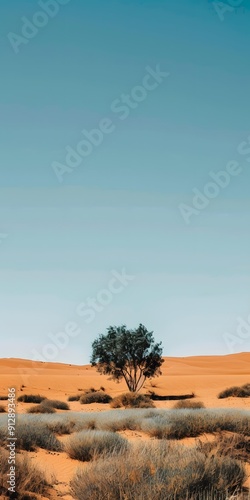 Lone Tree in Desert Landscape