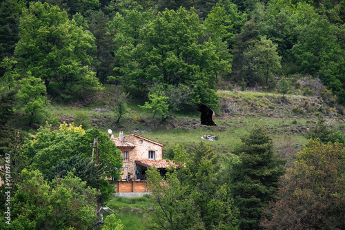 Eine Schar von freilebend Geiern sitzt in Frankreich in der Verdonschlucht auf einer grünen, eingezäunten Wiese photo