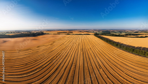 An expansive aerial view of golden wheat fields at harvest time, with neat rows stretching into the distance, highlighting the scale and order of modern agriculture.