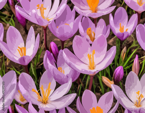 Colchicum autumnale, commonly known as autumn crocus, meadow saffron, or naked ladies
