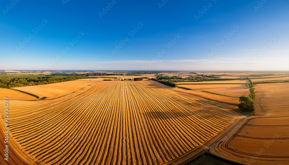 Obraz premium An expansive aerial view of golden wheat fields at harvest time, with neat rows stretching into the distance, highlighting the scale and order of modern agriculture.