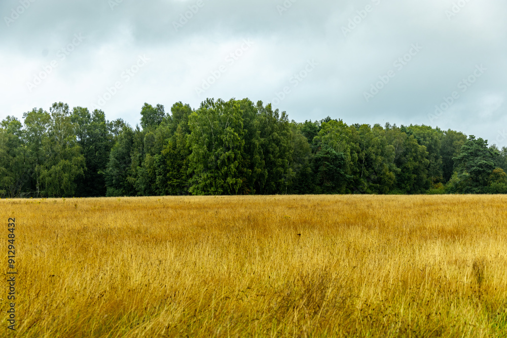 Ein herrliche Wanderung durch die einzigartige und farbenfrohe Landschaft der Osterheide - Bispingen - Niedersachsen - Deutschland Ein herrliche Wanderung durch die einzigartige und farbenfrohe Landschaft der Osterheide - Bispingen - Niedersachsen - Deutschland