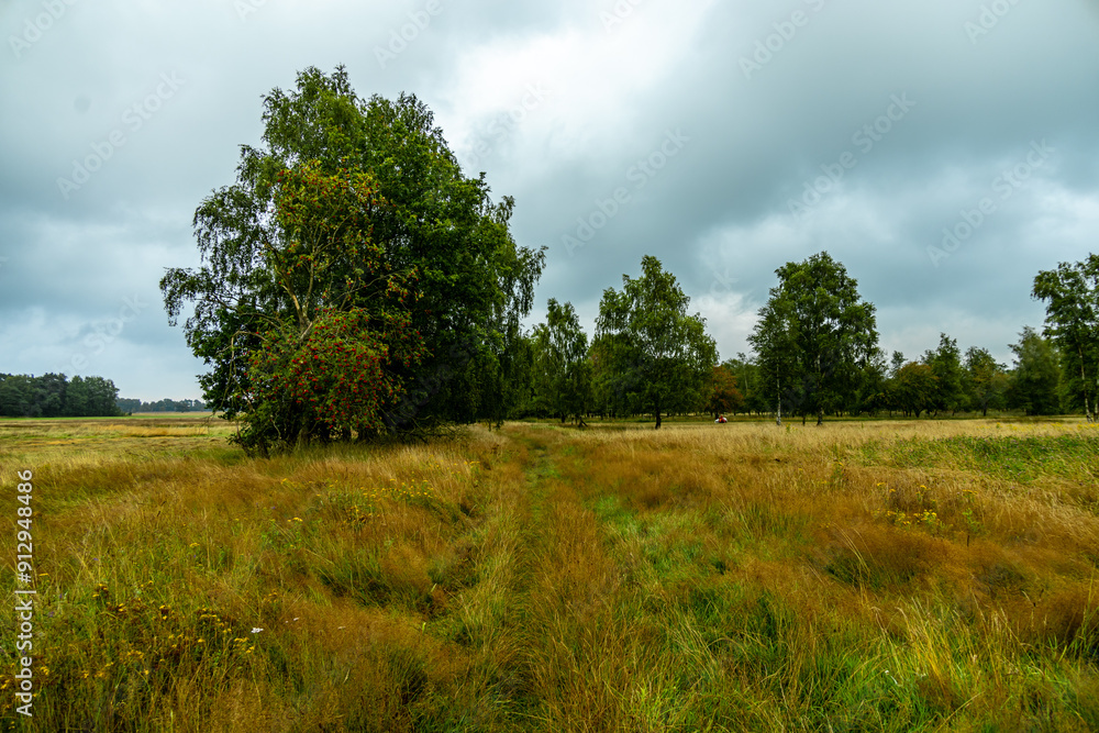 Ein herrliche Wanderung durch die einzigartige und farbenfrohe Landschaft der Osterheide - Bispingen - Niedersachsen - Deutschland