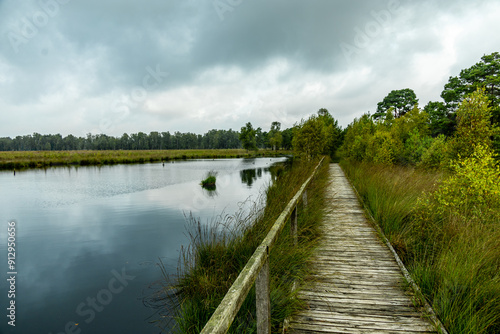 Ein herrliche Wanderung durch die einzigartige und farbenfrohe Landschaft der Osterheide - Bispingen - Niedersachsen - Deutschland