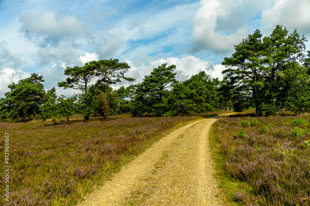 Ein herrliche Wanderung durch die einzigartige und farbenfrohe Landschaft der Osterheide - Bispingen - Niedersachsen - Deutschland Ein herrliche Wanderung durch die einzigartige und farbenfrohe Landschaft der Osterheide - Bispingen - Niedersachsen - Deutschland