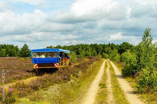 Wallpaper Mural Ein herrliche Wanderung durch die einzigartige und farbenfrohe Landschaft der Osterheide - Bispingen - Niedersachsen - Deutschland Torontodigital.ca