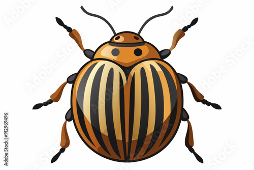  Colorado potato beetle vector illustration