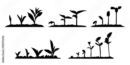 Silhouette of seedling growth development. Planting seedlings young plant on soil, vector clip art illustration