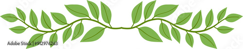 Floral and flower frame divider illustration.