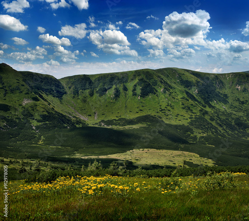 slope of the Chornohirsky ridge alpine landscape, yellow flowers meadow, Carp...