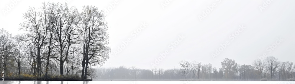 Bare Trees in Foggy Landscape, Black and White, Minimalist Composition, Nature , Fog , Trees , Landscape Bare Trees in Foggy Landscape, Black and White, Minimalist Composition, Nature , Fog , Trees , Landscape