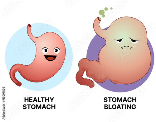 Healthy stomach, bloating stomach. Healthcare illustration. Cartoon healthcare illustration for kids. Vector illustration. 