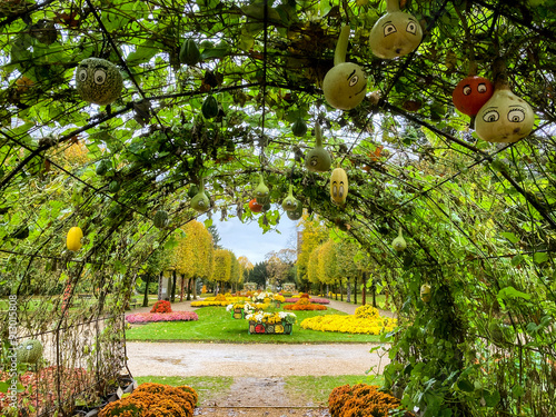 Rouen Botanical Garden, Jardin des Plantes, Normandy, France photo