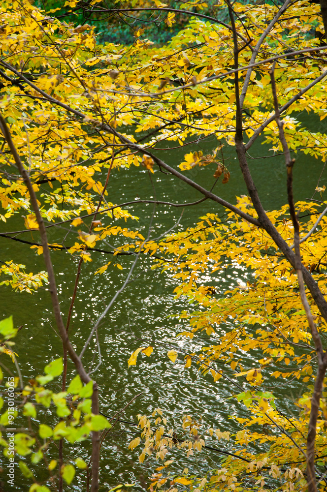 Central park in autumn with pond. Autumn landscape with pond. Fall nature landscape. Autumn nature in Central park. Seasonal fall landscape. Park autumn and pond in New York. Scenic fall view Central park in autumn with pond. Autumn landscape with pond. Fall nature landscape. Autumn nature in Central park. Seasonal fall landscape. Park autumn and pond in New York. Scenic fall view