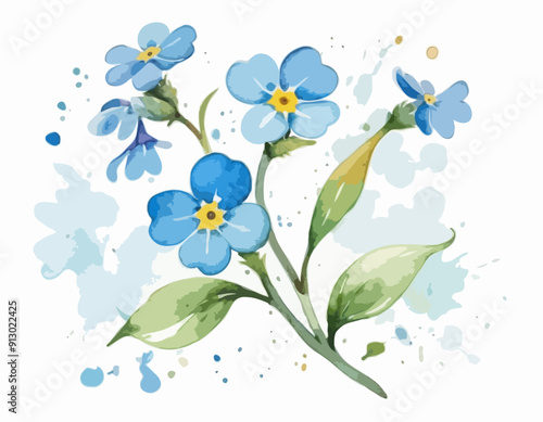 Forget me not flower. Watercolor illustration isolated on white background
