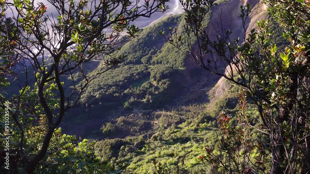 Video of nature view from the top of the hill and framed trees and plants Video of nature view from the top of the hill and framed trees and plants