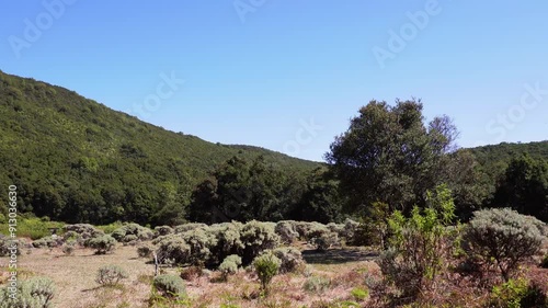 Scenery of the Edelwais Savannah and green hills and clear skies photo