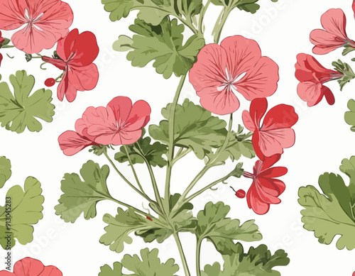 Geranium | Redoute Flower Illustration
