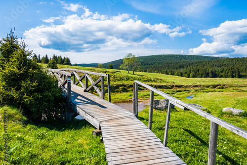 Fototapeta Naklejka Na Ścianę i Meble -  Wooden bridge over Izera river and green meadows with spruce trees on Hala Izerska on sunny spring day, Jizera Mountains, Lower Silesia, Poland