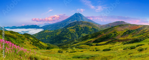 Beautiful summer panorama landscape Vilyuchinsky volcano Kamchatka with pink flowers and fog