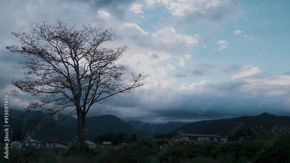 Fototapeta premium tree, summer, village, hakuba