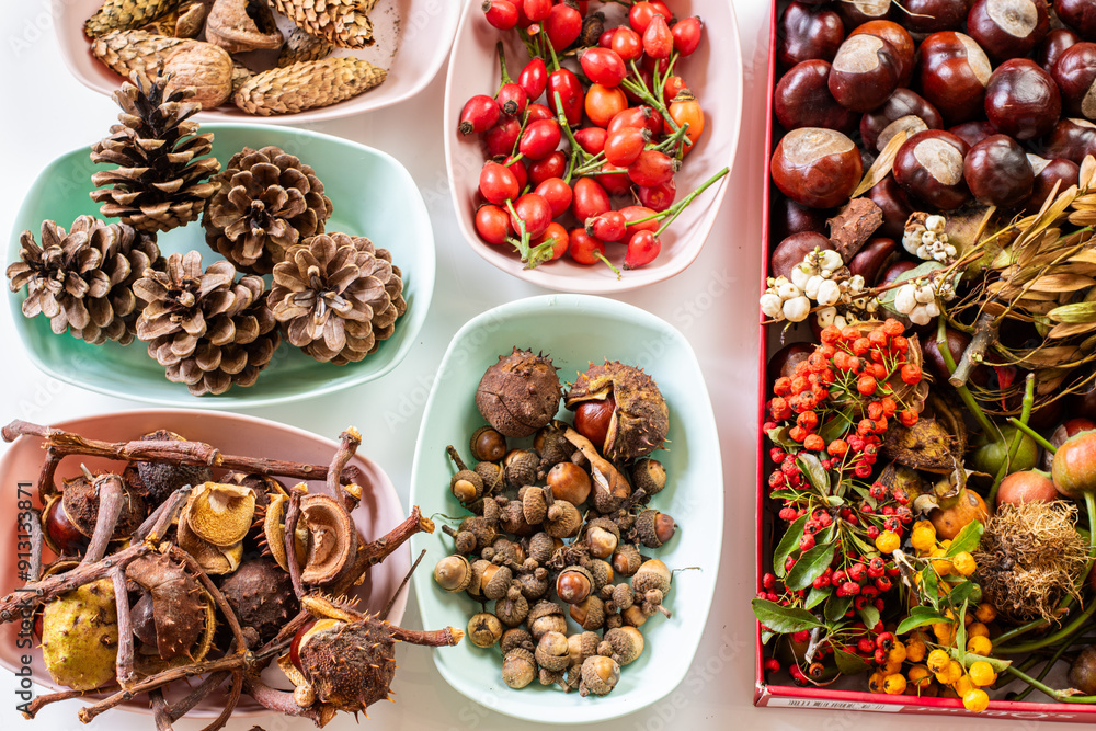 autumnal fruits for creative hobby, isolated autumnal fruits for creative hobby, isolated