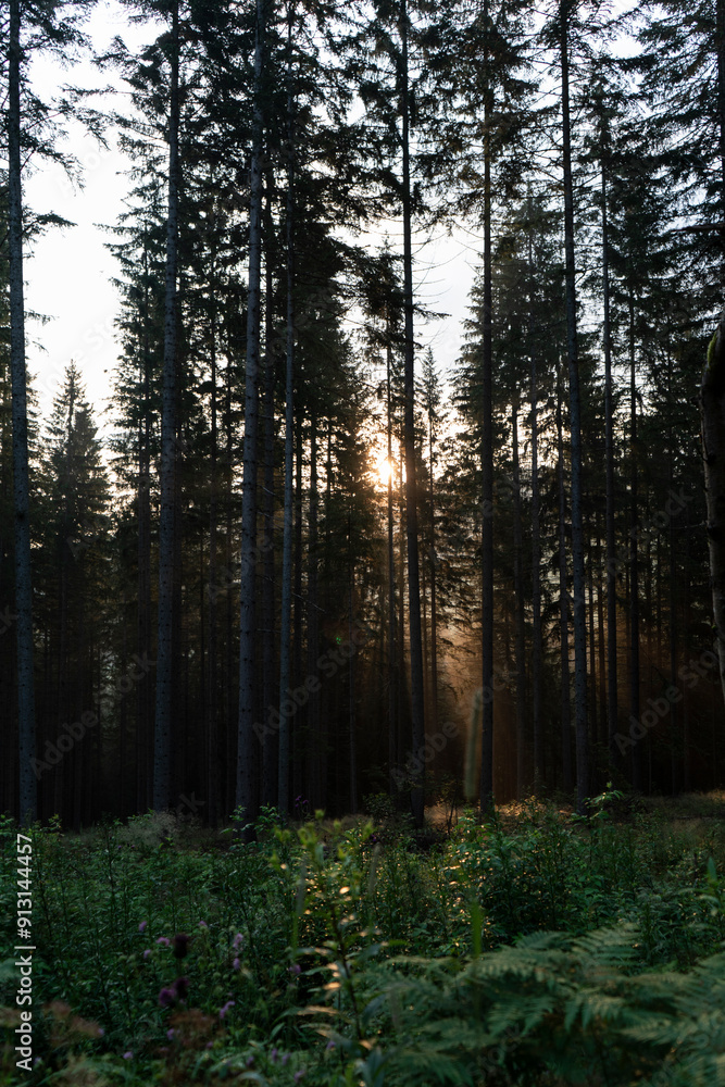 Fototapeta premium Austria / Italy