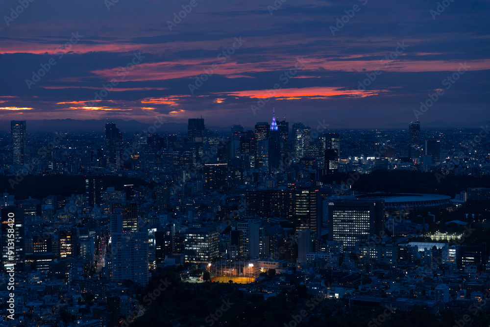 Fototapeta premium Tokyo Sky Line