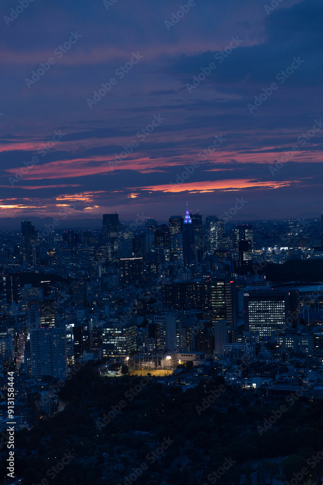 Obraz premium Tokyo Sky Line