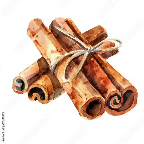 Watercolor vector of Cinnamon, isolated on a white background, Cinnamon vector