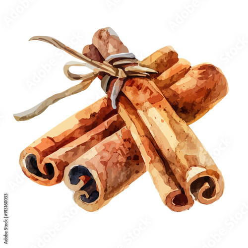 Watercolor vector of Cinnamon, isolated on a white background, Cinnamon vector