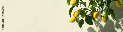 Yellow lemons hanging on a branch with green leaves on white background. AI generation