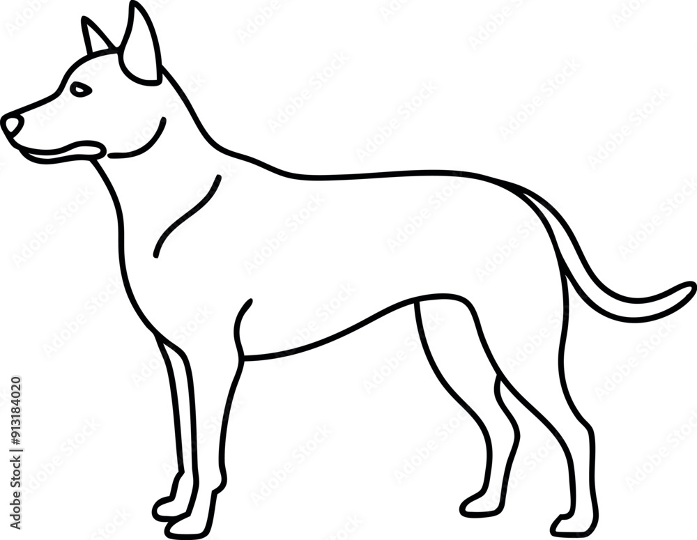 Outline Drawing of a Dog in Standing Position Outline Drawing of a Dog in Standing Position