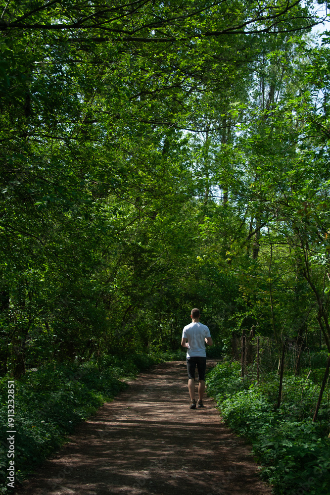 man walking in a forest man walking in a forest