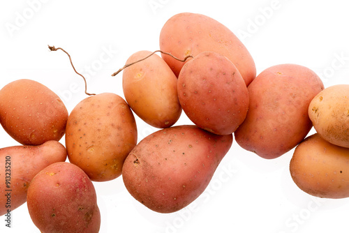 fresh just harvested potato tubes on white background