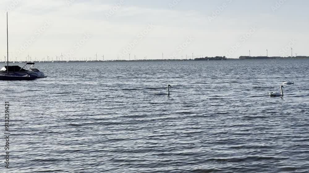 Shot from the lake in the municipality of Harderwijk, Netherlands. Wind turbines and boats in the background. Shot from the lake in the municipality of Harderwijk, Netherlands. Wind turbines and boats in the background.