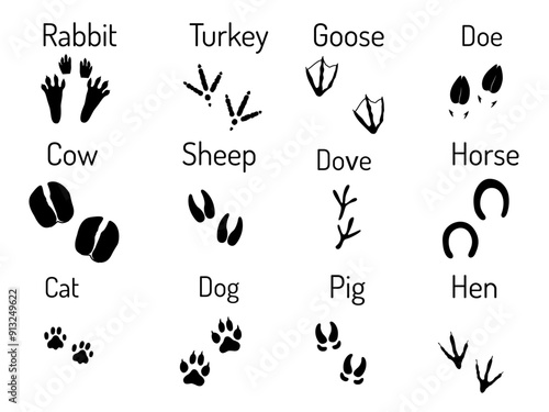 Traces of pets. Paw prints of a rabbit, turkey, goose, goat, cow, sheep, pigeon, horse, cat, dog, pig, chicken. Black and white vector illustration.