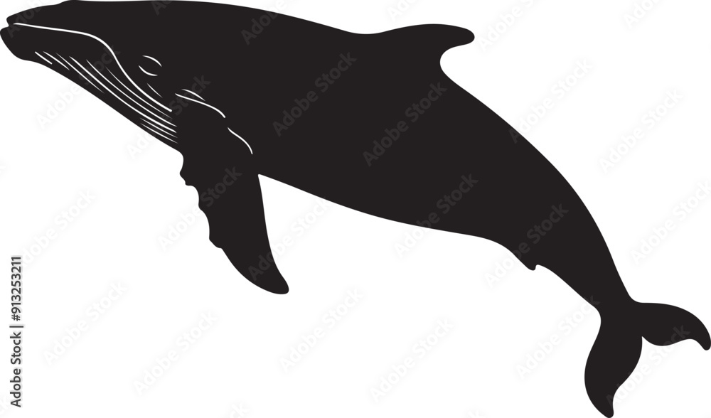 Obraz premium Whale Silhouette Vector