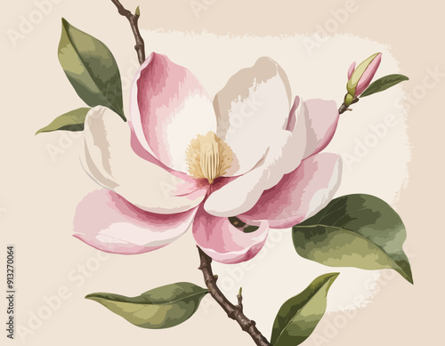 Chinese magnolia | Redoute Flower Illustration
