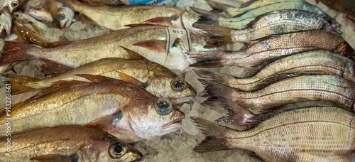 Canvas Print close up view of freshly caught pout for sale in a fish market, Trisopterus lusc