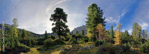 Mountain forest, panorama at the Klobenjoch north face with foehn clouds, Kotalm, Rofan Mountains, Tyrol, Austria, Europe