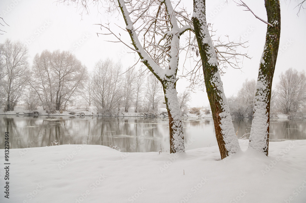 Fototapeta premium Snow-covered trees on the bank of a winter river.