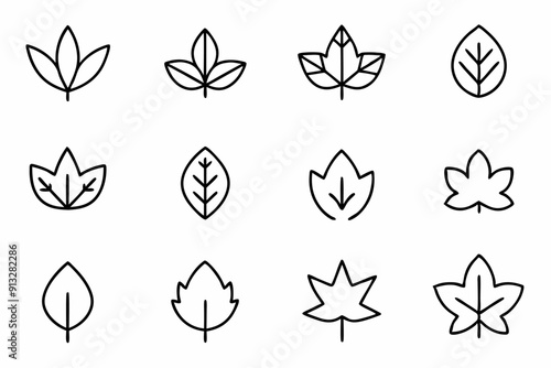 Autumn Leaves  and Fruits Thin Line Vector Set - Fall Design Elements