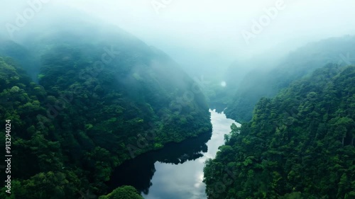 A river is flowing through a forest with a cloudy sky above