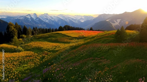 A field of flowers with a mountain in the background
