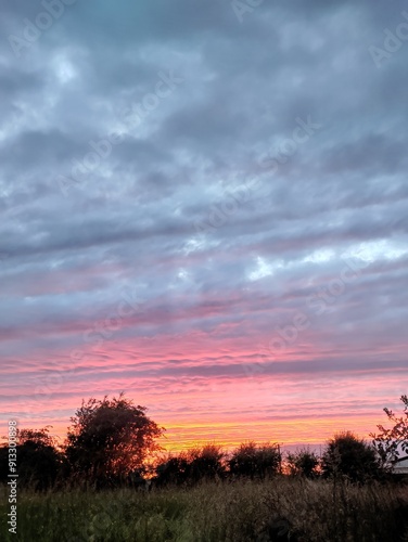 sunset over the field