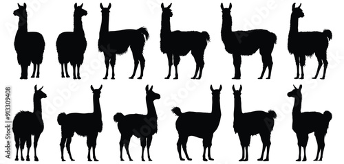 Llama silhouette set vector design big pack of animal illustration and icon