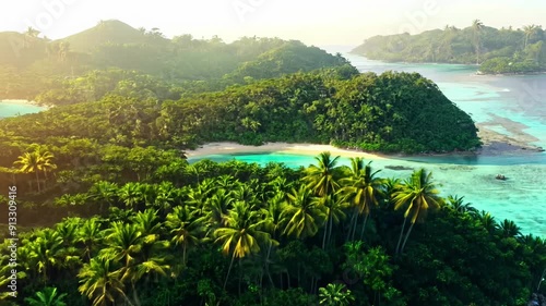 A beautiful tropical beach with palm trees and a clear blue ocean