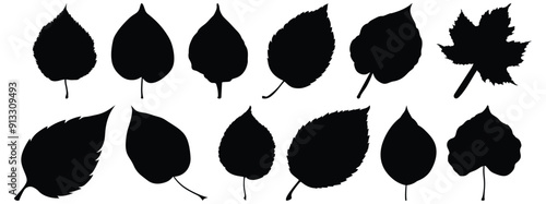 Leaf silhouette set vector design big pack of foliage illustration and icon