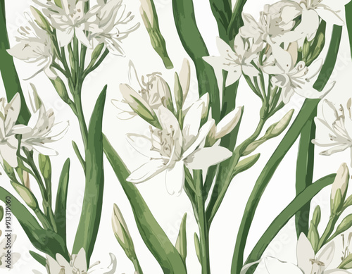 Tuberose | Redoute Flower Illustration
